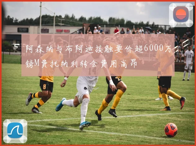 阿森纳与布阿迪接触要价超6000万镑M费托纳利转会费用高昂