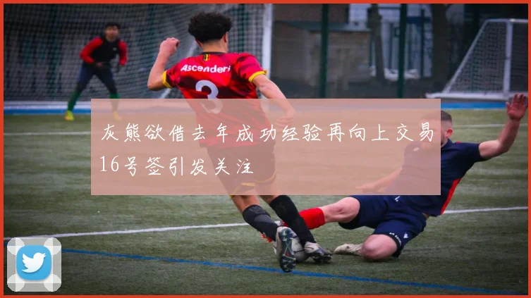 灰熊欲借去年成功经验再向上交易16号签引发关注