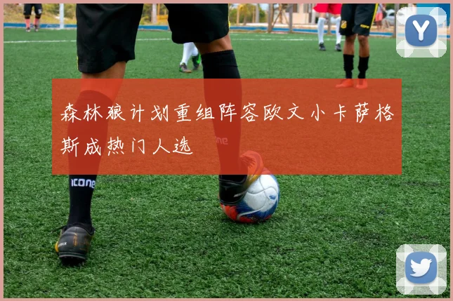 森林狼计划重组阵容欧文小卡萨格斯成热门人选